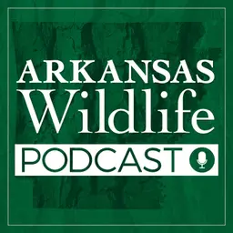 Arkansas Wildlife Podcast Ep.92: Deep Dive into Arkansas New Hunting Regulations Part 1