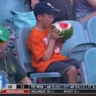 Fome de Bola