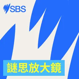 Pasifika Celebration - 【SBS Examines】《Our Pacific》昆州北部的太平洋慶祝活動