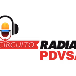 CIRCUITO RADIAL PDVSA