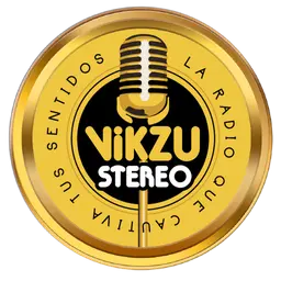 VIKZU STEREO