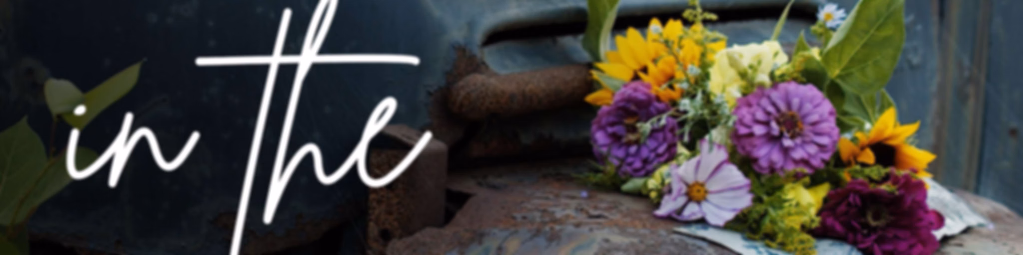 Beauty in the Brokenness- Christian Women (Bible Study, Faith, Sexuality, Freedom from Shame)