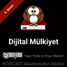 Akademiden Notlar 147: Dijital Mülkiyet