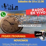 PROGRAMA 33 DE SIN GUION -