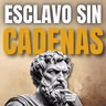 #23 No Te Falta MOTIVACIÓN, Te Falta DISCIPLINA | Sabiduría Estoica