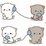 gatitos4.0