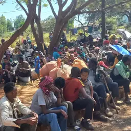 የዜና መጽሔት፤ ሐምሌ 7 ቀን 2028 ዓ.ም ማክሰኞ