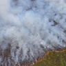 What's behind the record wildfires in Europe?