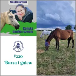 #220 Burza i gniew