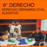 EL DERECHO ORDINARIO CIVIL, ALEGATOS