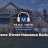 Homeowners Insurance Basics