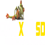 Conexao SD -FM