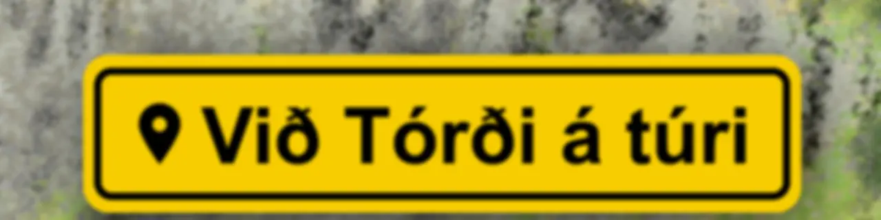 Við Tórði á túri