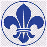 Radio Scout