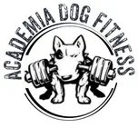 academia dog fitness