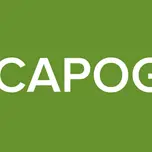 Radio DJ CAPOGRIGIO 1.0