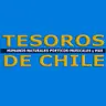 Cap. 25-Tesoros de Chile-Uva País