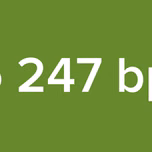 radio 247 bptran