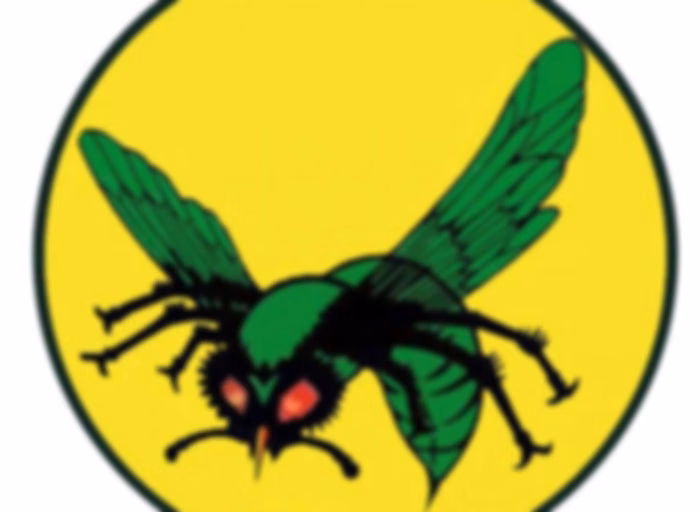 El avispón