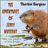 Paddy The Beaver Decides To Stay