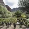 El sol implacable, el paisaje hostil y la cabalgata que sirvió para encontrar un vino de 98 puntos