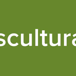 Transcultural FM