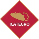 Radio ICATEGRO