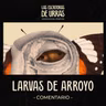 #83 El comentario a"Larvas de Arroyo" - Lluvia y pueblos pequeños