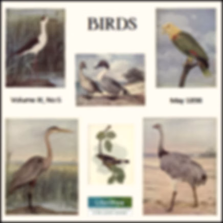 Birds, Vol. III, No 5, May 1898 by Various