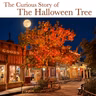 DHI 364- The Halloween Tree - Part One