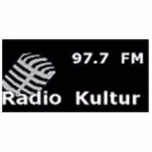 Radio Kultur