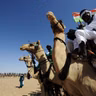 À Agadez, près de 120 000 têtes de bétail ont été prises en charge à l’occasion de la Cure Salée(La semaine sur Kalangou)