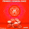 PROGRAMA ESPECIAL CHAKRA RAIZ COMO EQUILIBRARLO, SANARLO, DESBLOQUEARLO COMPLETO.mp3