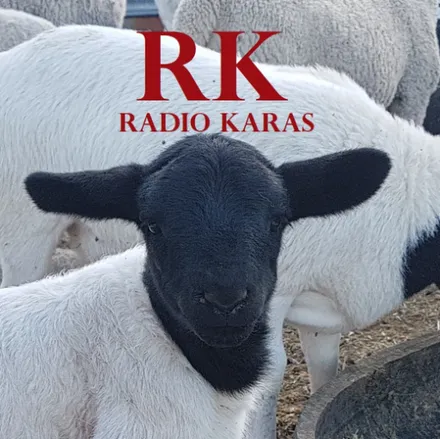 Radio Karas