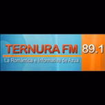 Ternura FM 89.1