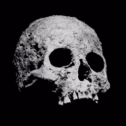 Ossos Perdidos