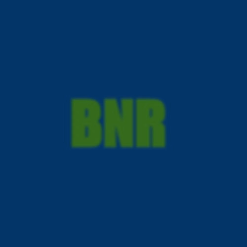 BNR Crime Investigation