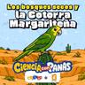 Cotorra Margariteña: el ave que sobrevivió al borde de la extinción
