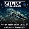 S08E21 Passion Océan 4/4 : Le miracle des cimetières de baleines (Bruno David)