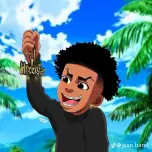 Dfool