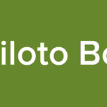 UE Piloto Bolivia