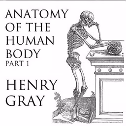 Anatomy of the Human Body, Part 1 (Gray's Anatomy) by Henry Gray (1827 - 1861)