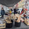 Við Tórði á túri í Vágsbotni í Havn
