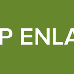 PMP ENLACE