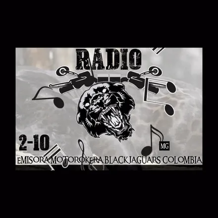 Radio 2-10