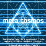 Meta-Cosmos
