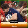 Colled enfawr yn erbyn Les Bleus