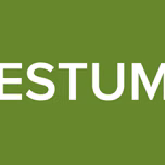 RADIO FESTUM ONLINE