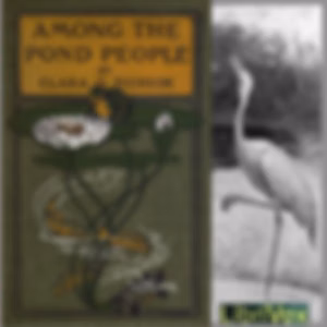 Among the Pond People by Clara Dillingham Pierson (1868 - 1952)