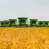 Global conflicts, extreme weather: How secure is China's food supply?